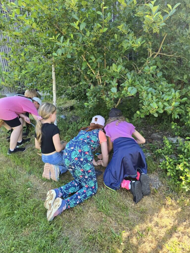 Eine Gebüsch, im Vordergrund sind Kinder zu sehen, die etwas im Gras suchen und auf dem Boden hocken