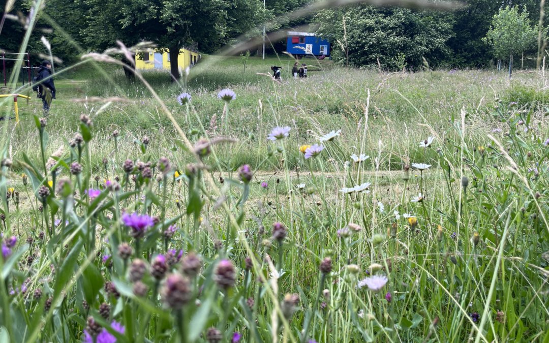 Blumenwiese im Vordergrund, Menschen und EMIL Mobil im Hintergrund